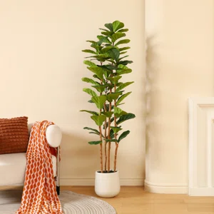 Adarna+72_+Artificial+Fiddle+Leaf+Fig+Tree+with+Realistic+Leaves+and+Natural+Trunk,+Potted+Tree-1848340854 (2)