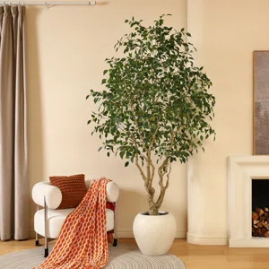 Adcock+8ft+Artificial+Ficus+Tree+with+18in+White+Planter,+Tall+Faux+Ficus+Tree+for+Outdoor (2)